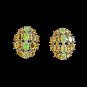Opal and Citrine Topaz in Silver 925 Earrings